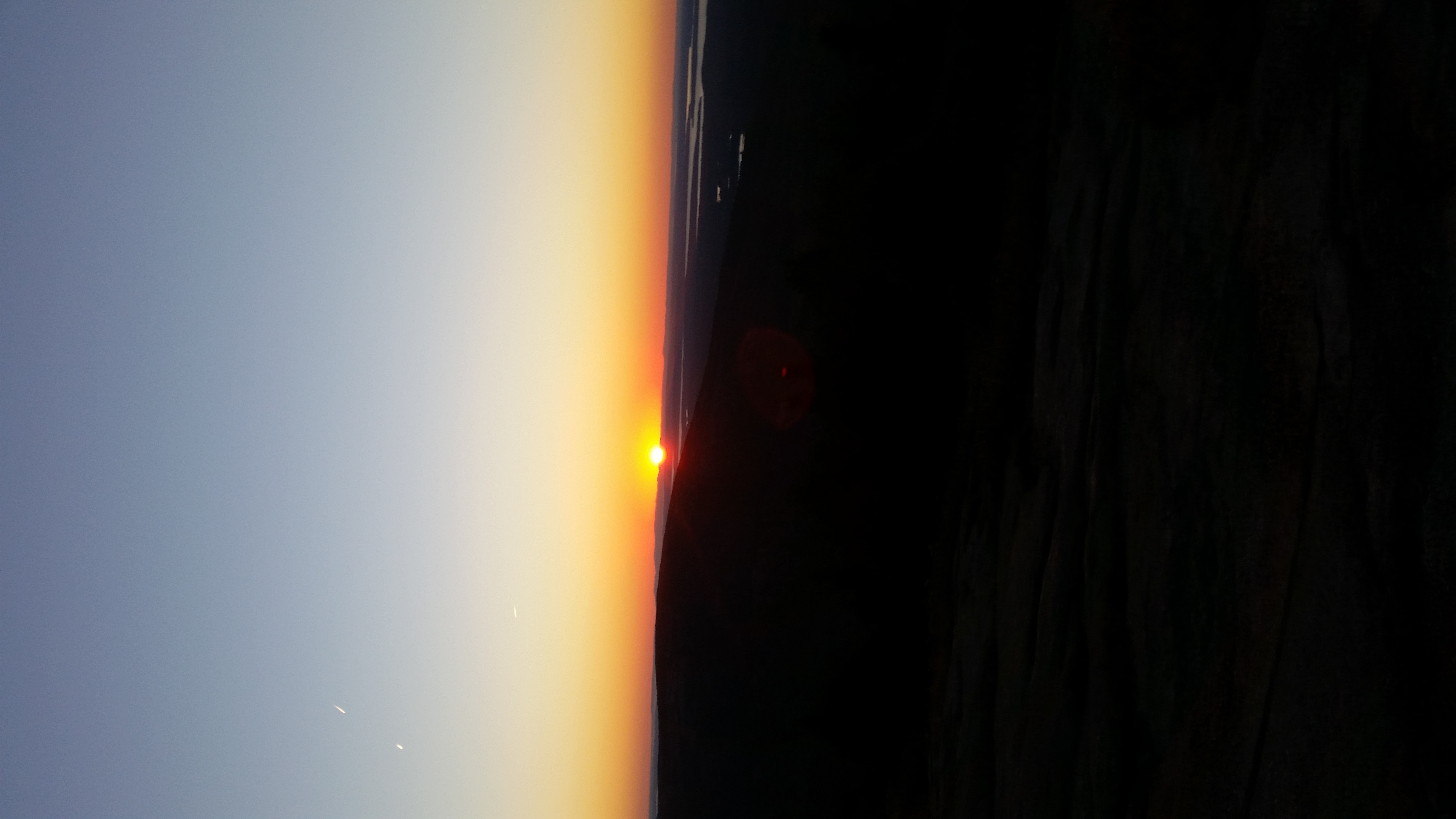 2016
