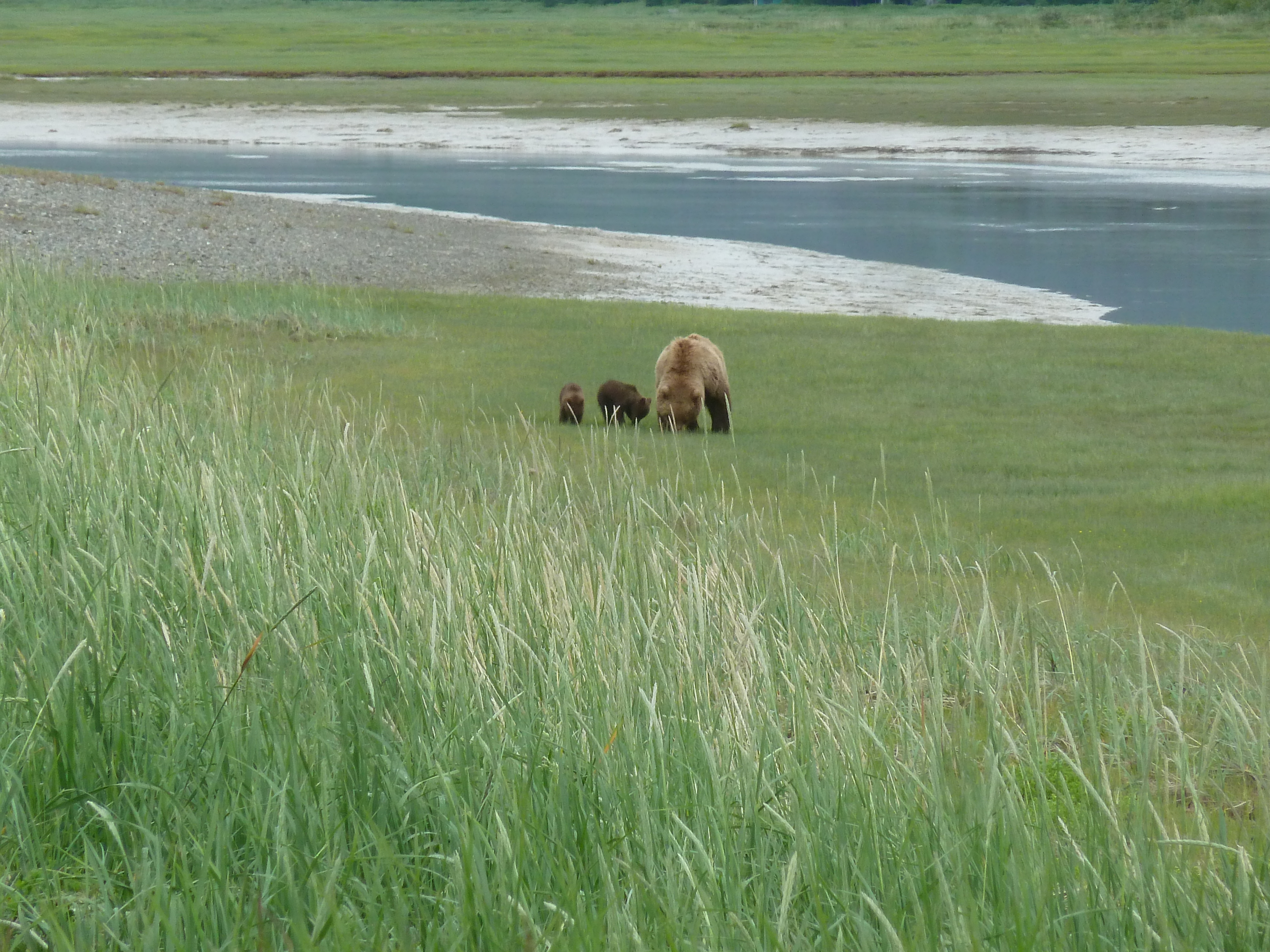 2017