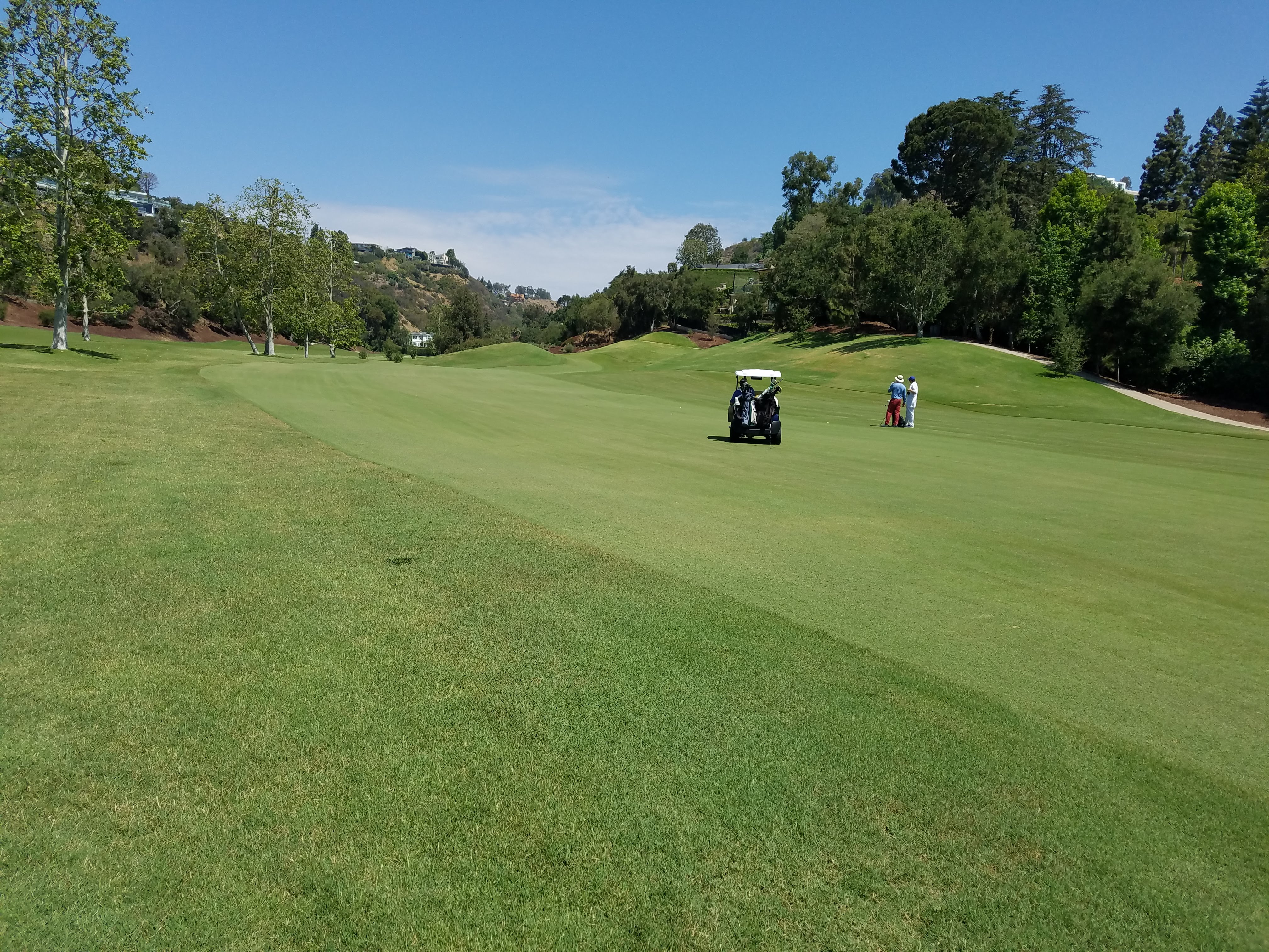 2018