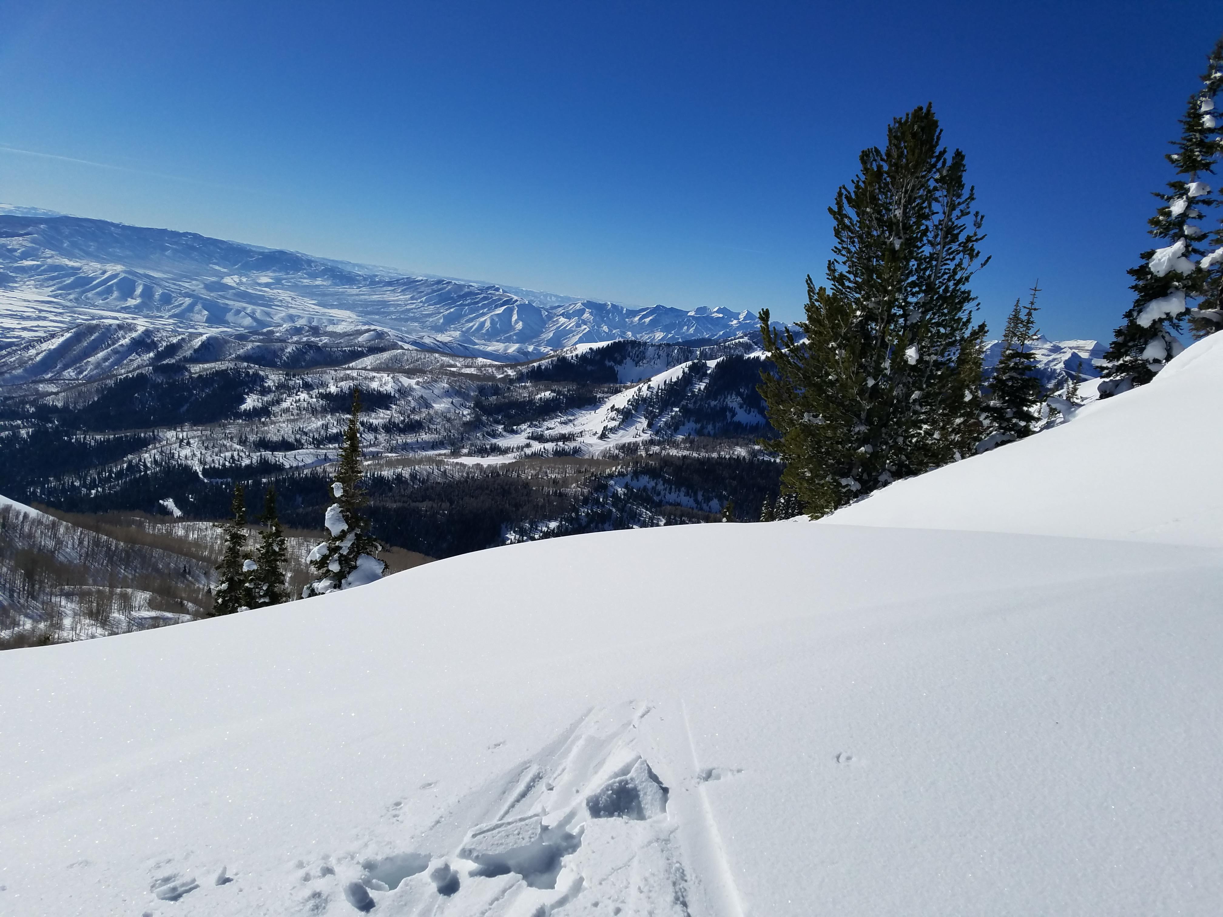 2019