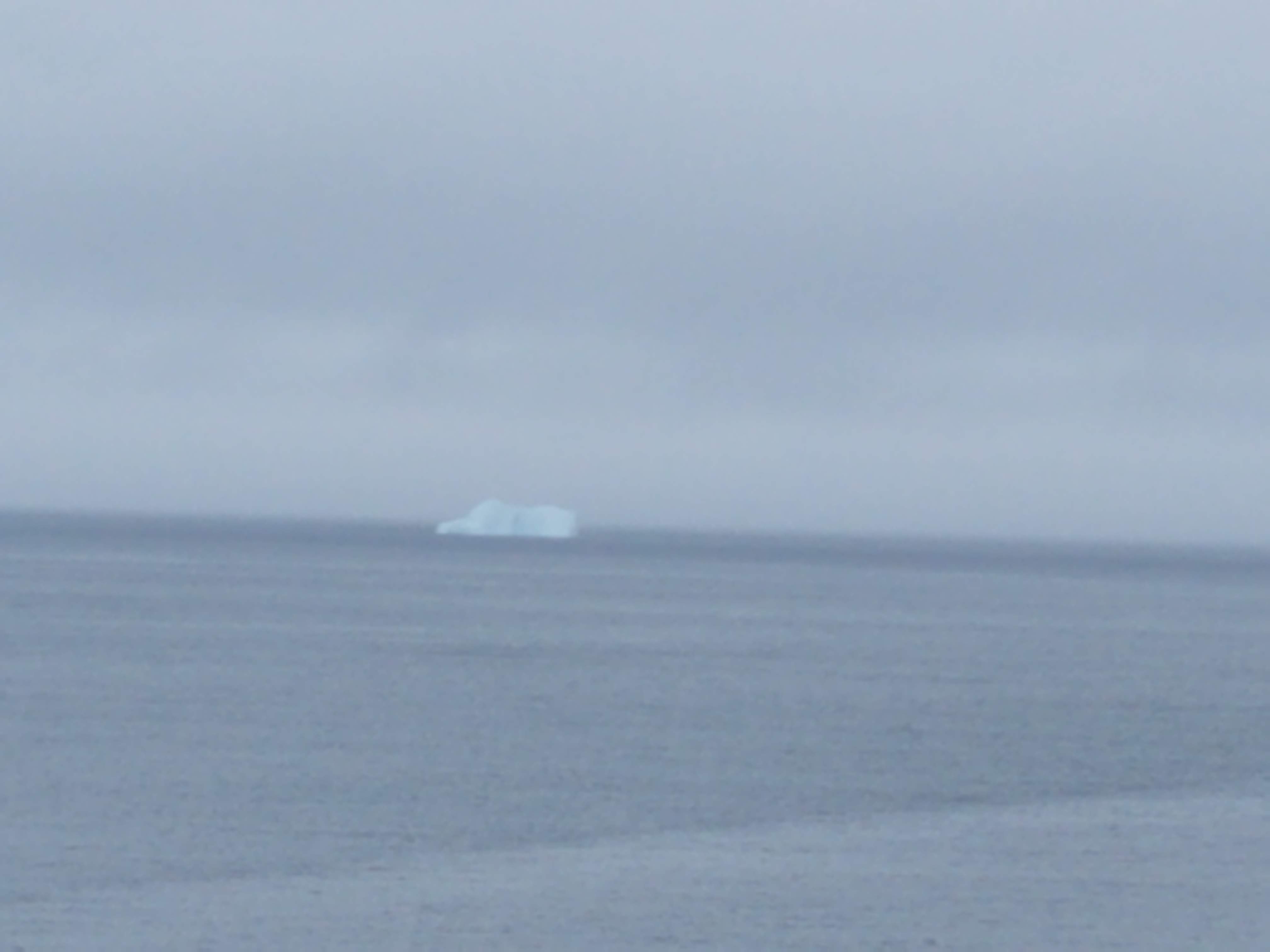 Newfoundland