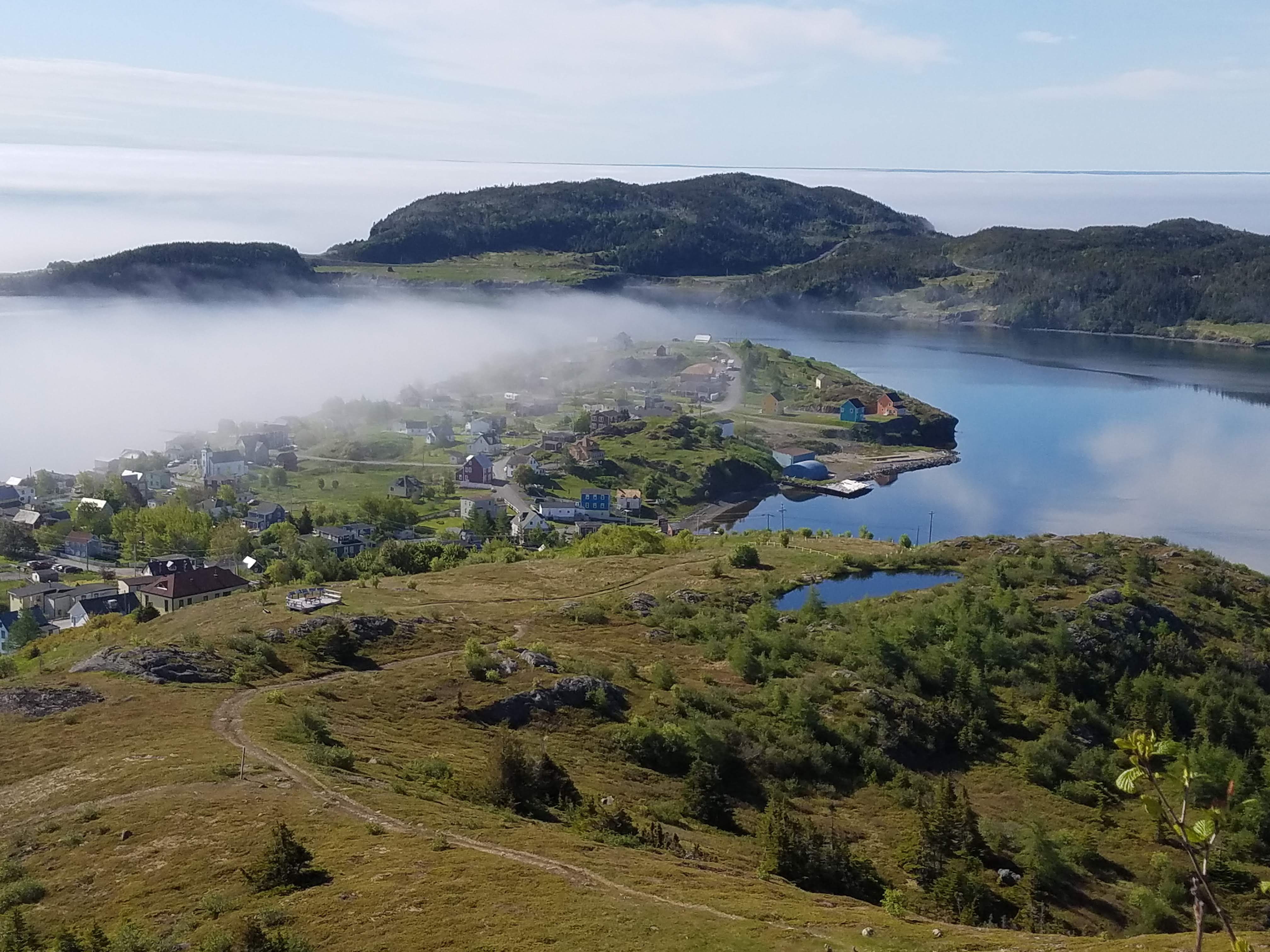 Newfoundland